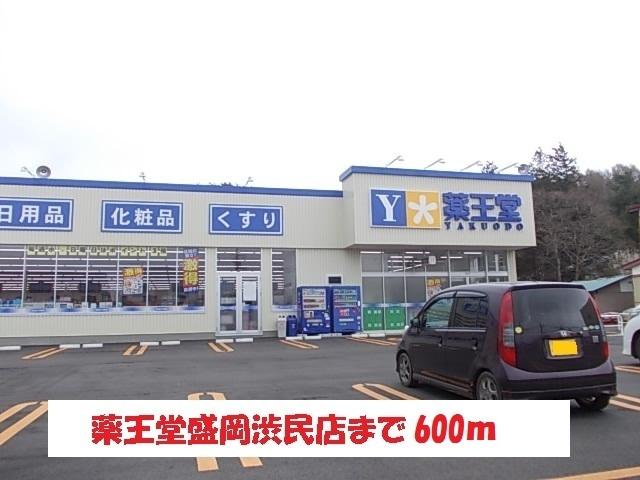 薬王堂盛岡渋民店：600m