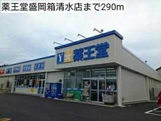 薬王堂盛岡箱清水店：290m