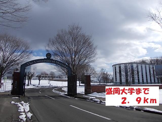 盛岡大学：2900m
