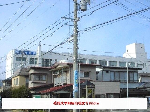 盛岡大学附属高校：900m
