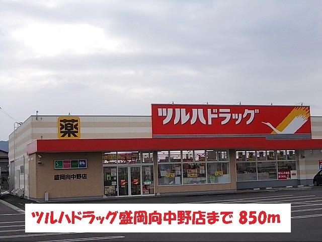 ツルハドラッグ盛岡向中野店：850m