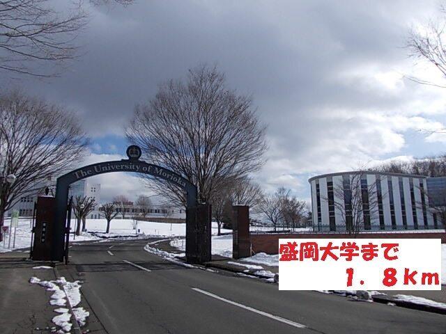 盛岡大学：1800m