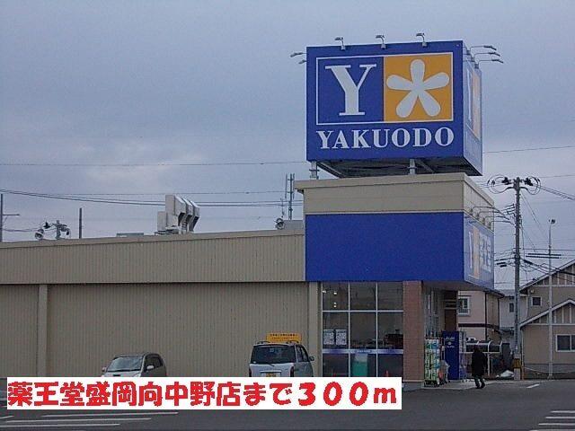 薬王堂盛岡向中野店：300m