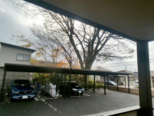 アビエス　Ｂ（101） 眺望