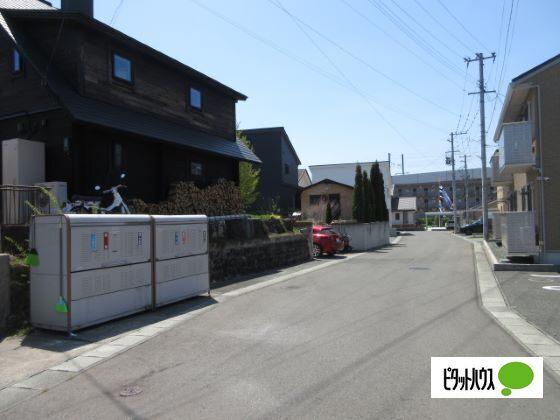 サンフラワー（101） その他