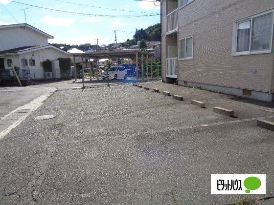 サンフラワー幸（101） その他