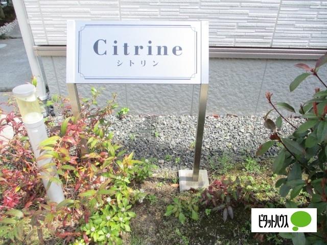 Ｃｉｔｒｉｎｅ　(シトリン)（101） 物件画像
