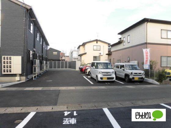 みかん（107） 外観