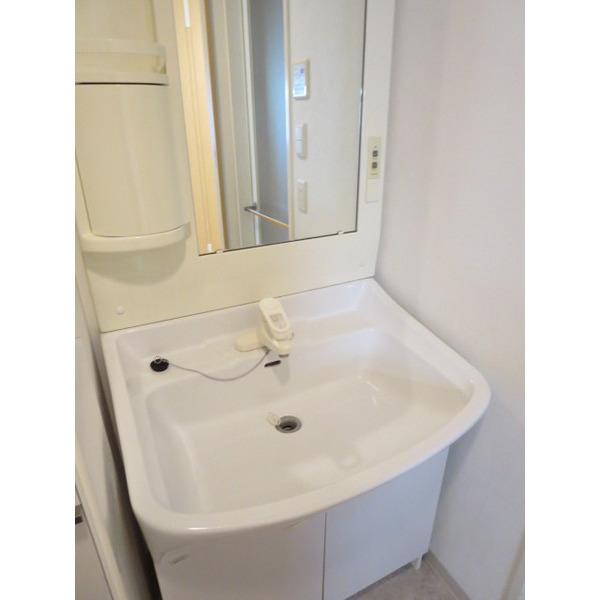 Maison Grandiose（310） 洗面
