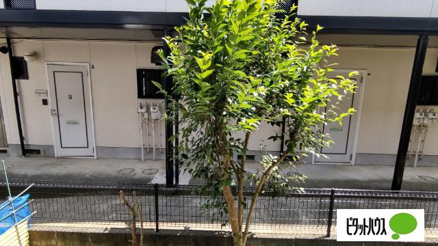 ツチヤハイツ（102） 眺望