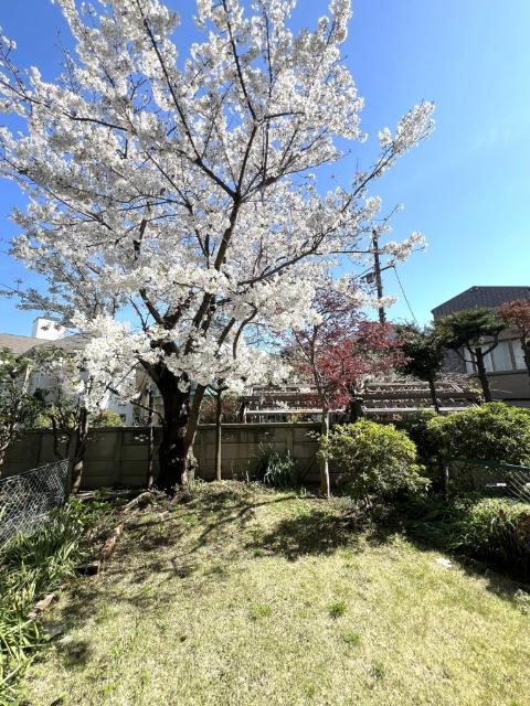 祐天寺第２コーポラス 庭