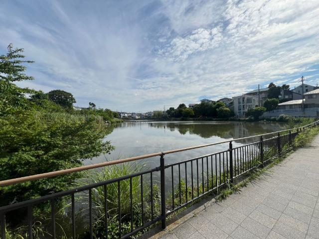 公園