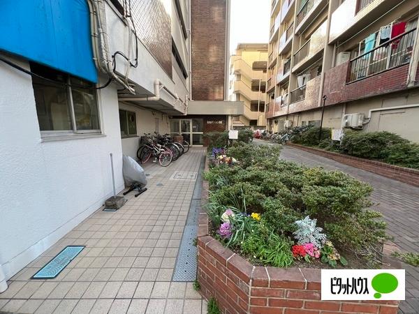 石川台マンション別館 物件画像