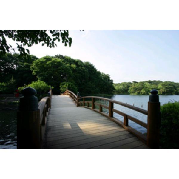 公園