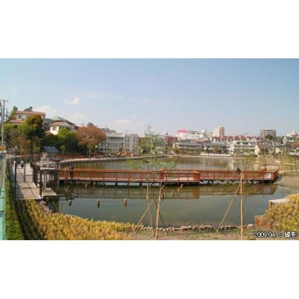 公園