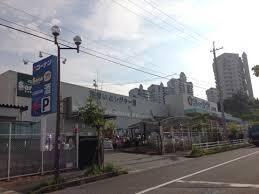 グリーンコーポラス A棟 部屋画像