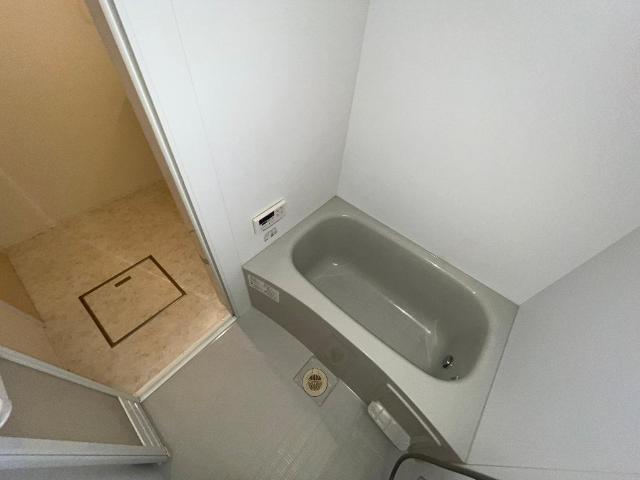 カラタチ 部屋画像