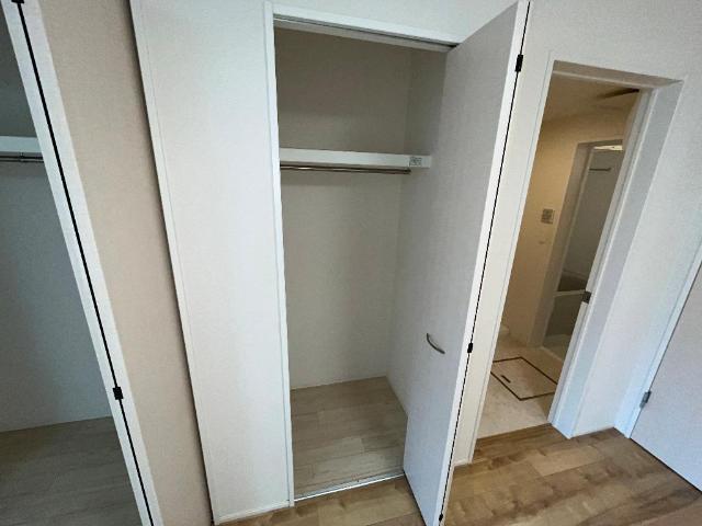 カラタチ 収納