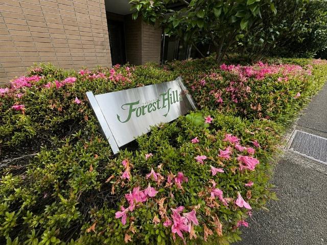 フォレスト・ヒルズ その他