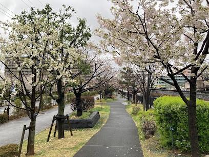 公園