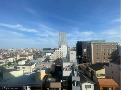 クリオ蒲田壱番館 眺望