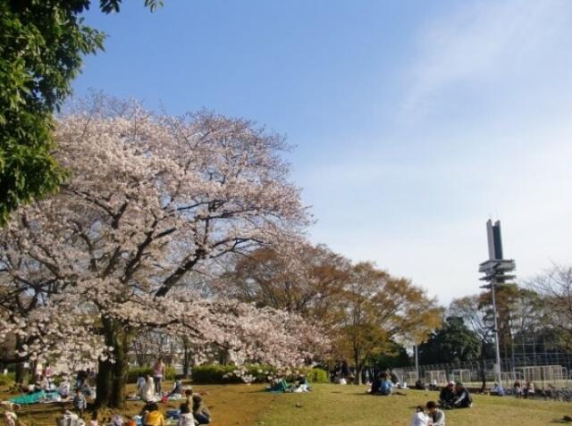 公園