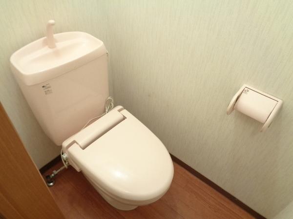 アムールコートA棟（泉町下川）（202） トイレ