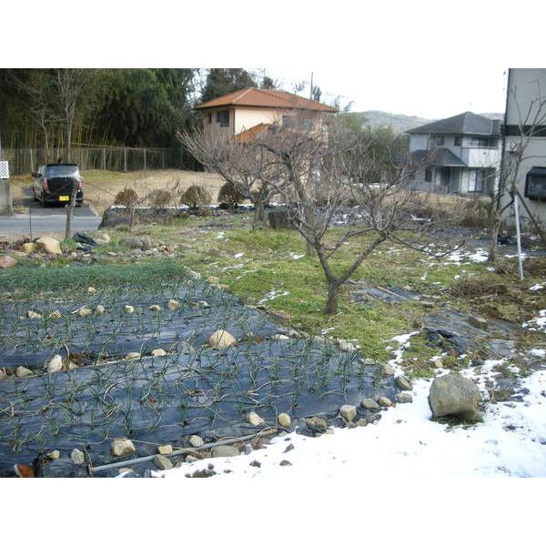 内郷高野町上ノ台 土地