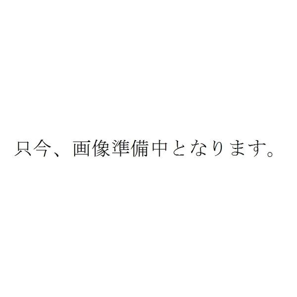 土地1