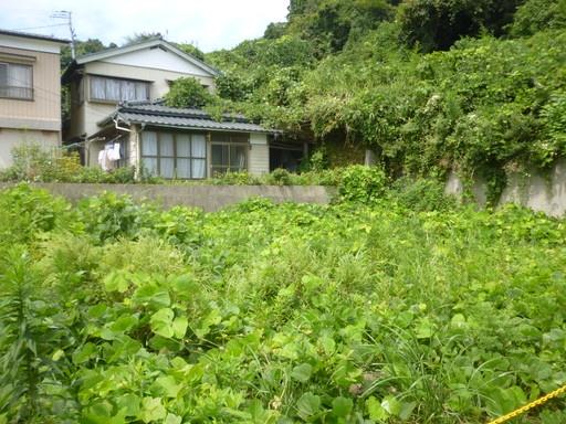 土地1