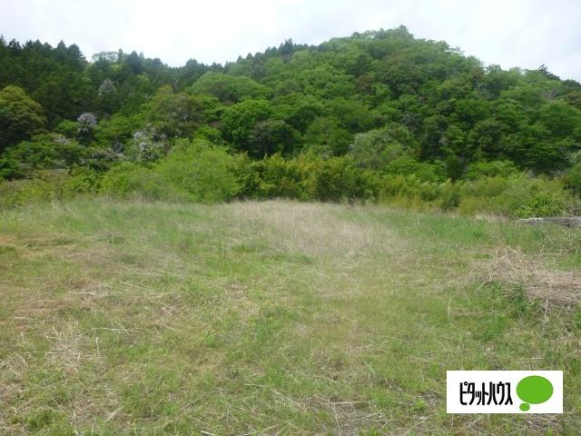 遠野町深山田字川堀 土地