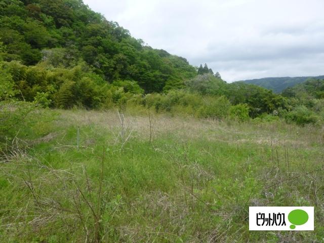 遠野町深山田字川堀 土地
