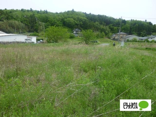 遠野町深山田字川堀 土地