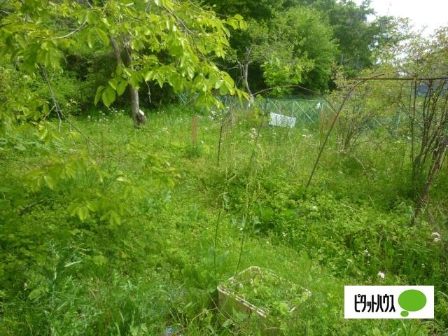 内郷高野町山崎 土地