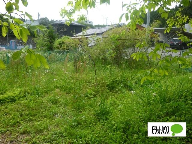 内郷高野町山崎 土地