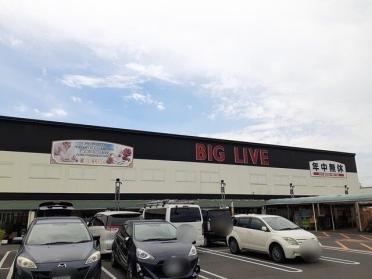 ビッグリブ　　小牧店：600m