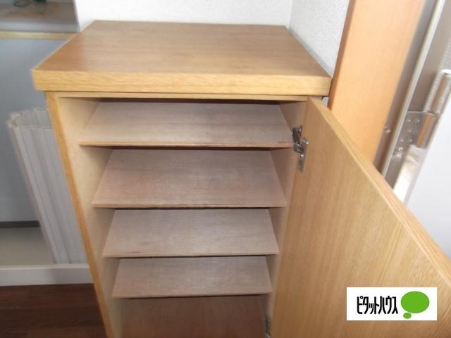 サープラスハイム（105） 部屋画像