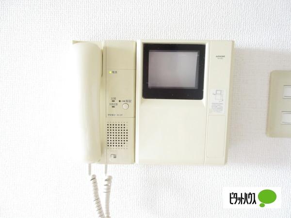 シンフォニー中央（301） 部屋画像