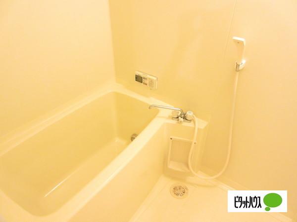 シンフォニー中央（301） 部屋画像