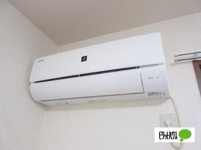アーリーバード（202） 部屋画像