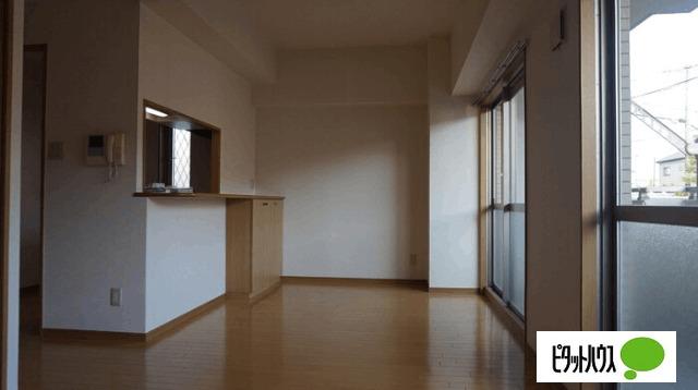 PREMIER YOU（101） 部屋画像