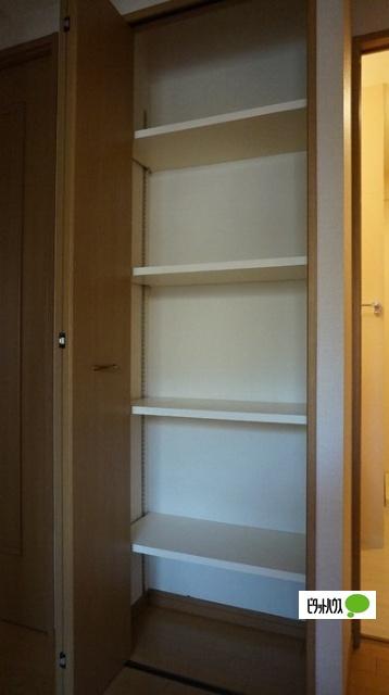 PREMIER YOU（101） 部屋画像