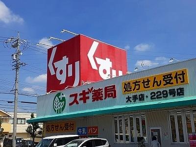 スギ薬局 大手店：600m