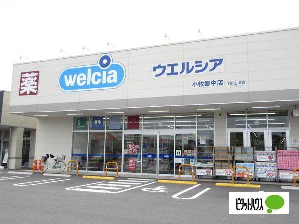 ドラックストア