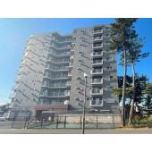 お気軽にお問い合わせください。