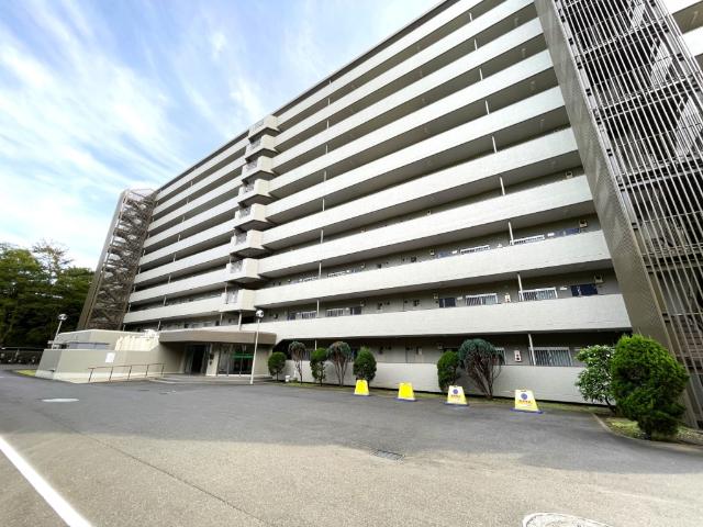 ２０２６年１月上旬にリノベーション完了予定です