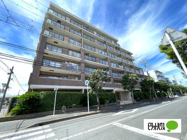 お気軽にお問い合わせください