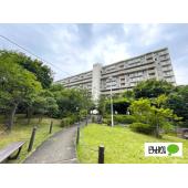 リフォーム完了しました、いつでもご見学は可能です