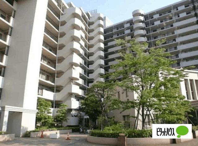 お気軽にお問い合わせください
