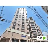 ２０２５年１２月リノベーション完了予定です